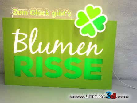 BLUMEN-RISSE_1