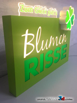 BLUMEN-RISSE_5