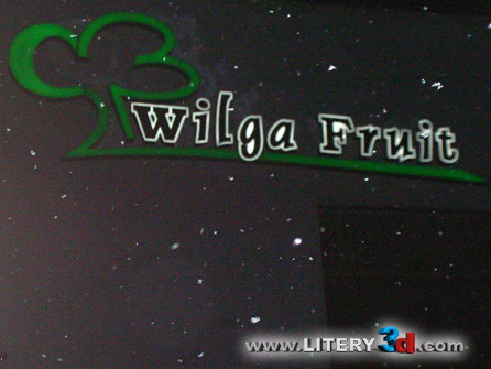 wilga-fruit